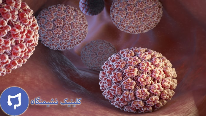 عکس ویروس hpv