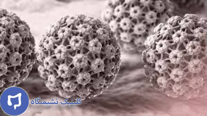 عکس ویروس اچ پی وی