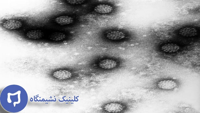 عکس واکسن زگیل تناسلی